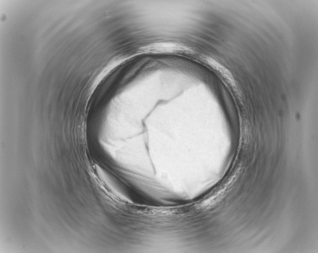 X0000086881473200705141358