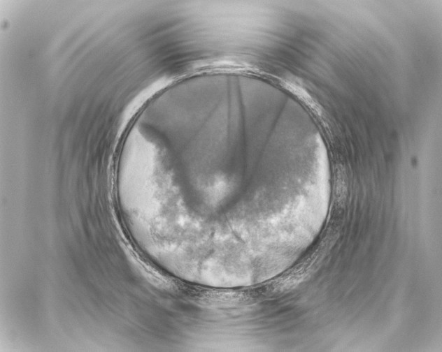 X0000086881474200705141358