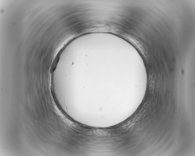 X0000086881476200705141358