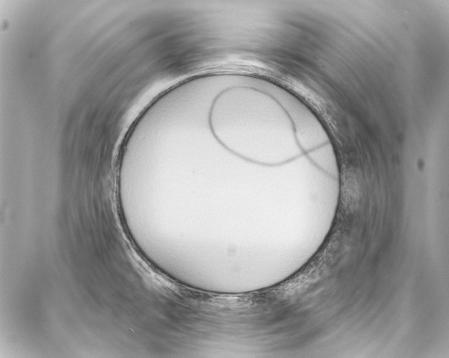 X0000086881478200705141358