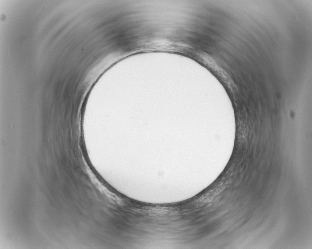 X0000086881479200705141358