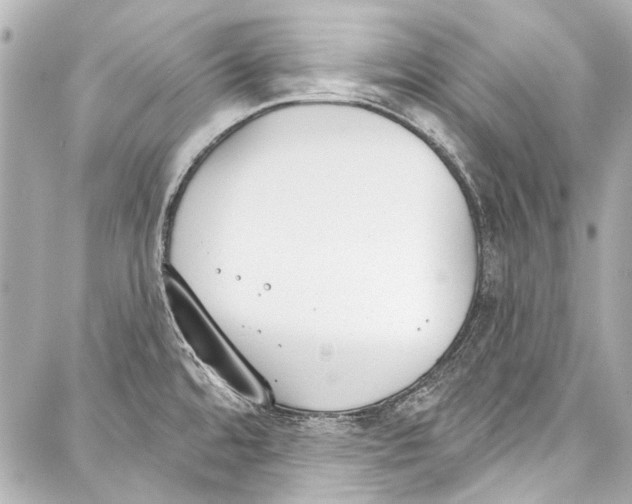 X0000086881480200705141358