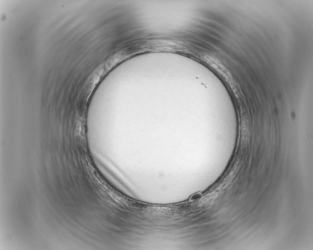 X0000086881481200705141358