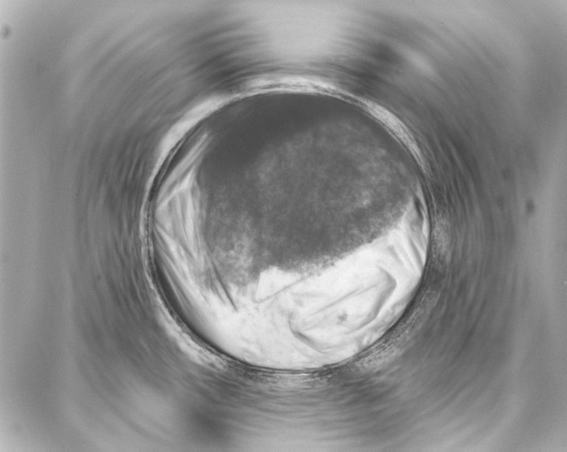 X0000086881482200705141358