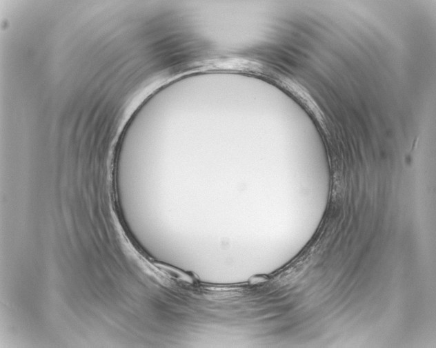 X0000086881483200705141358