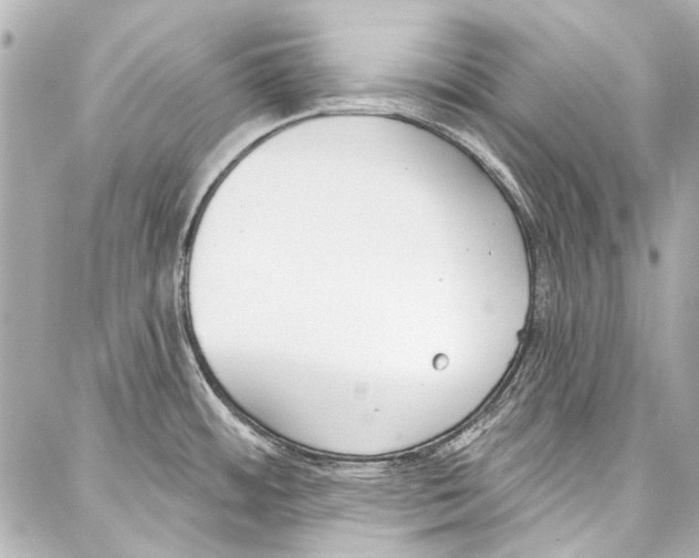 X0000086881484200705141358