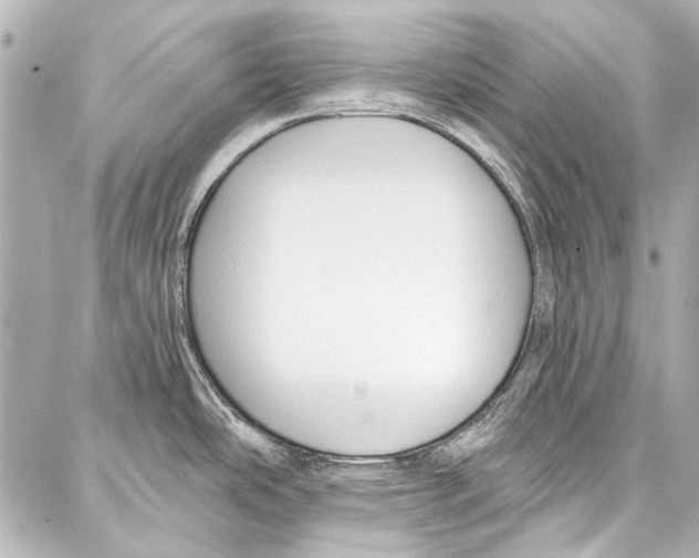 X0000086881486200705141358