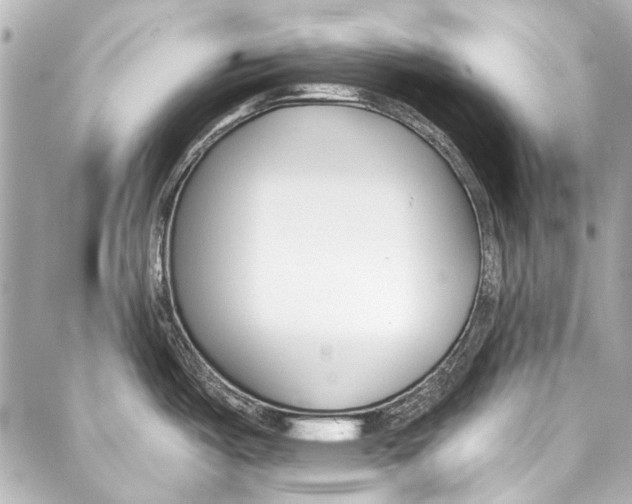 X0000086881487200705141358