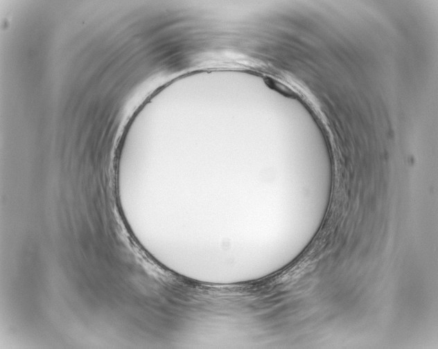 X0000086881488200705141358