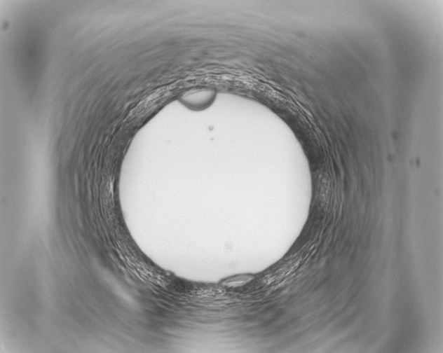 X0000086881489200705141357