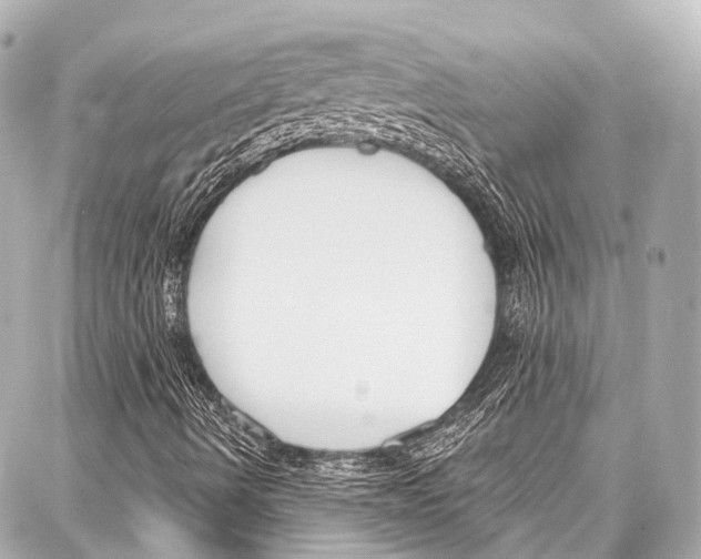 X0000086881490200705141357