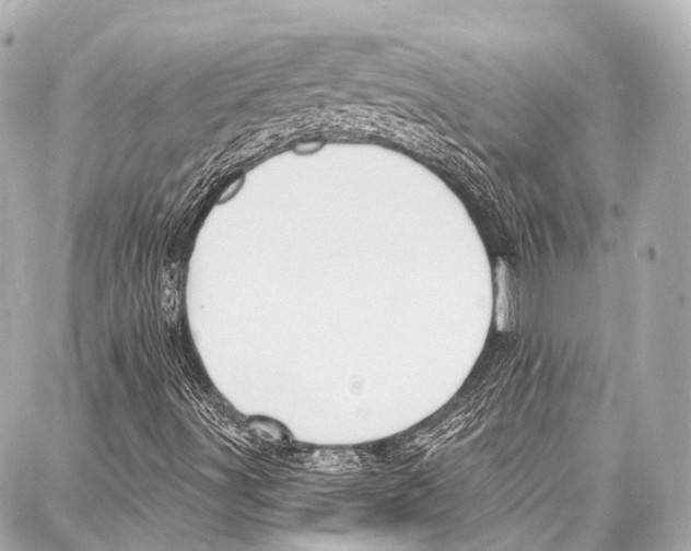 X0000086881491200705141357