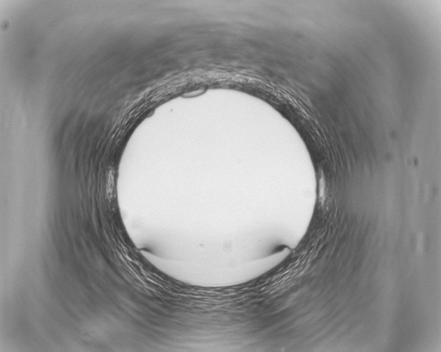 X0000086881492200705141357