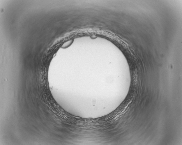 X0000086881494200705141357