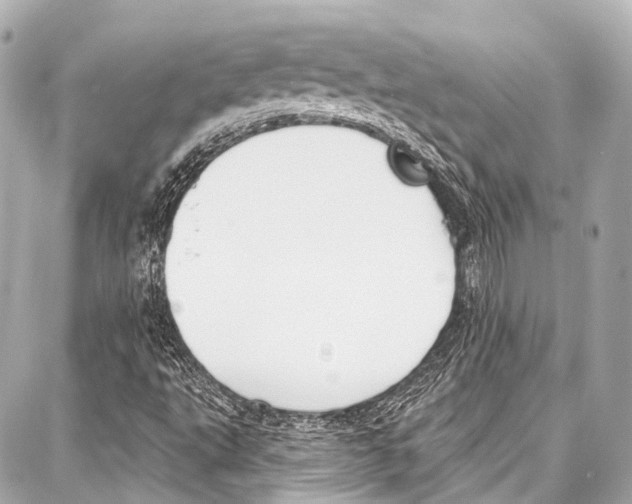 X0000086881495200705141357