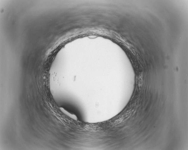 X0000086881496200705141357