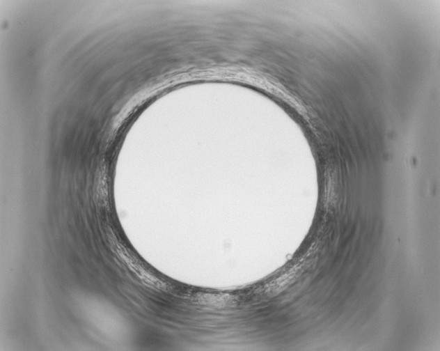 X0000086881498200705141357