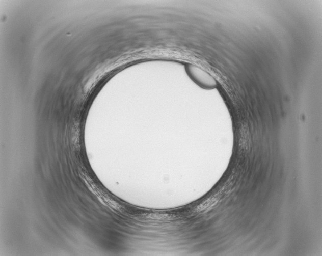 X0000086881499200705141357