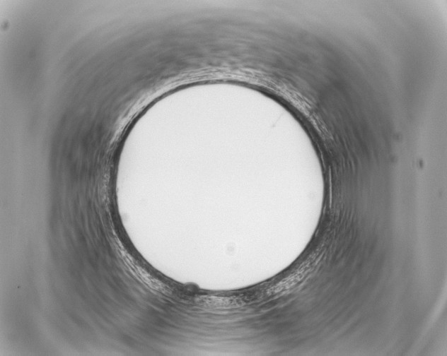 X0000086881500200705141357