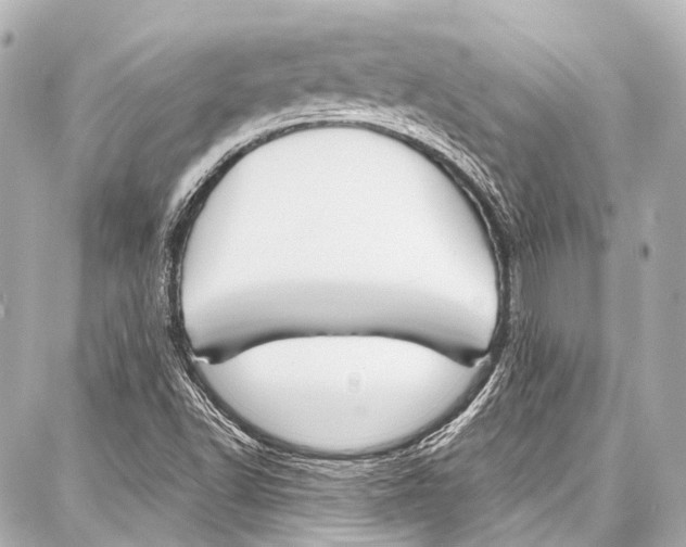 X0000086881502200705141357