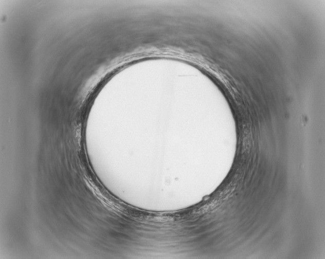 X0000086881503200705141357