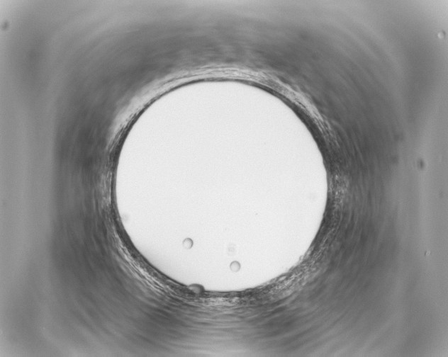 X0000086881504200705141357