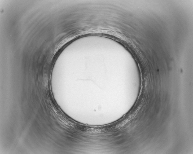 X0000086881505200705141357