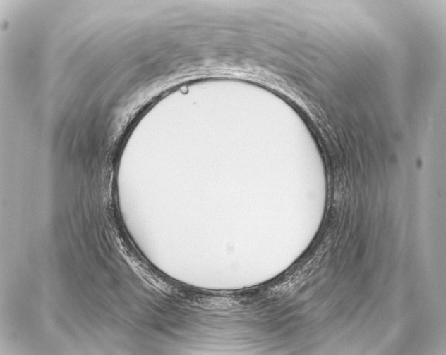 X0000086881507200705141357