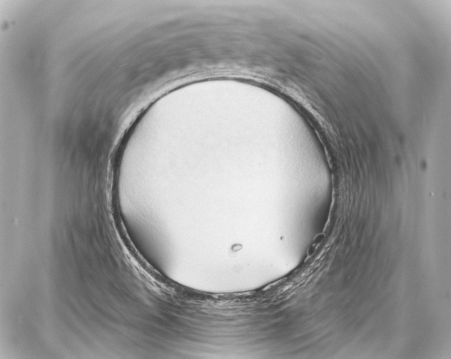 X0000086881508200705141357