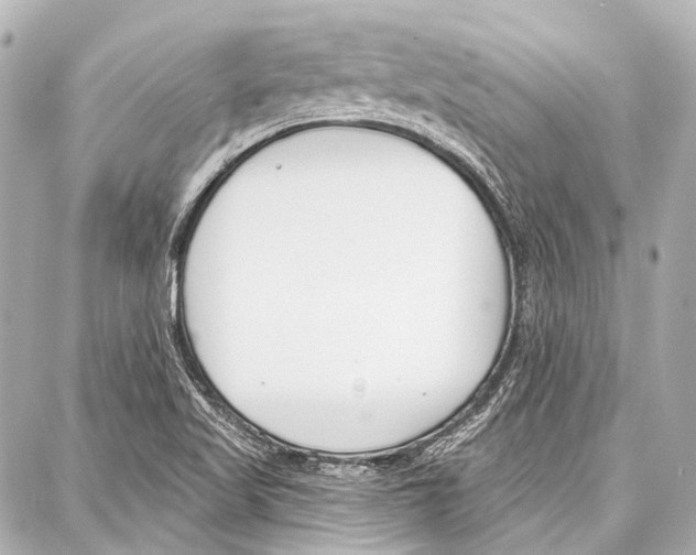 X0000086881509200705141357