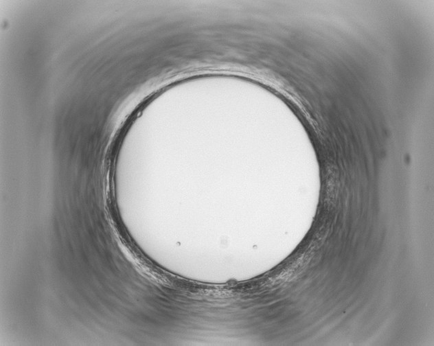 X0000086881511200705141357