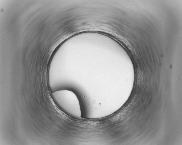 X0000086881513200705141357