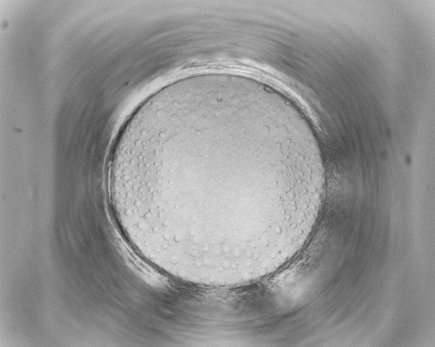 X0000086881514200705141357