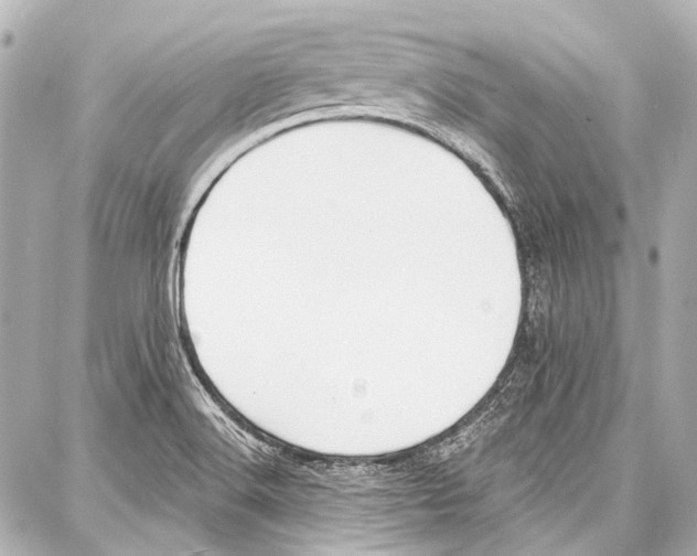 X0000086881516200705141357