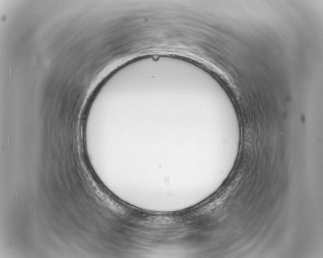 X0000086881517200705141357