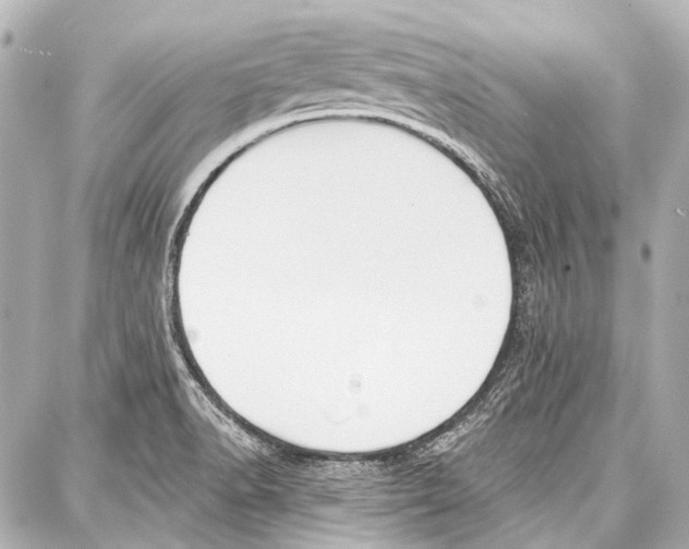 X0000086881518200705141357