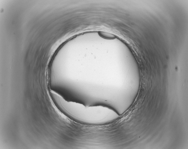 X0000086881519200705141357