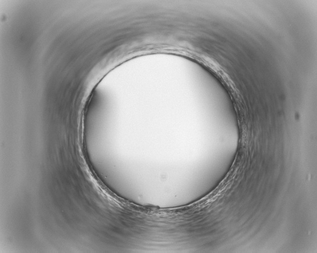 X0000086881520200705141357