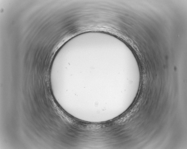 X0000086881521200705141357