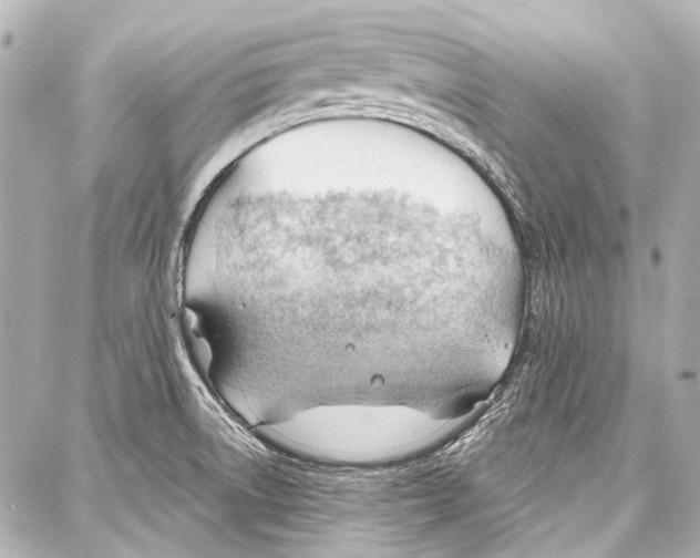 X0000086881522200705141357