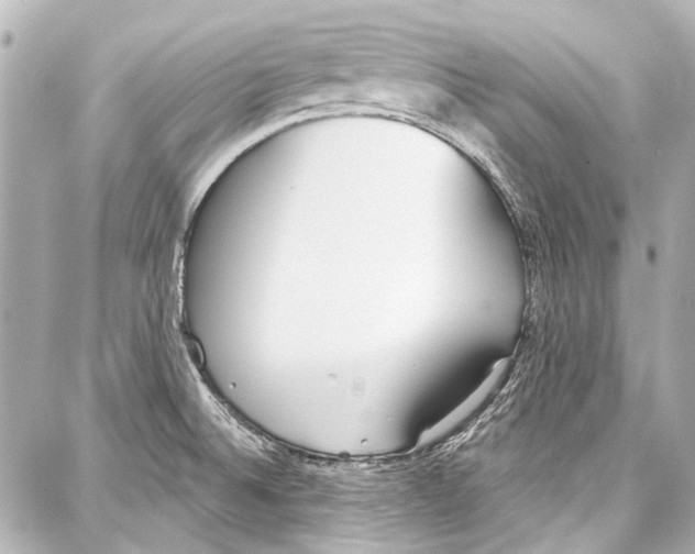 X0000086881524200705141357