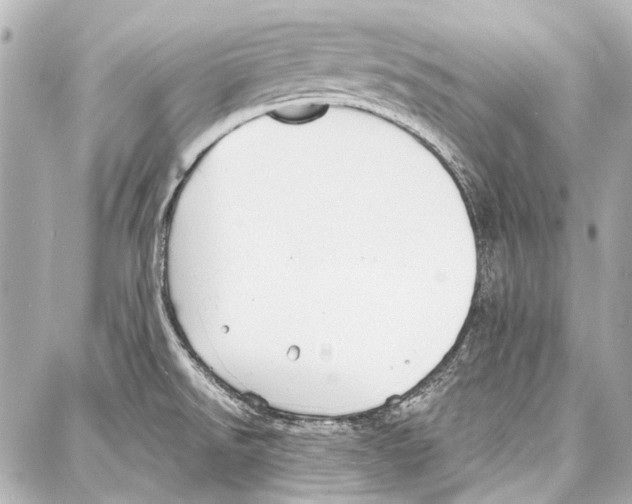 X0000086881526200705141357