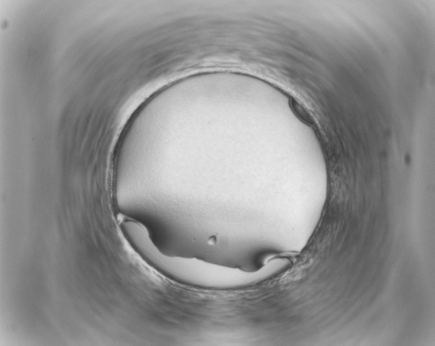 X0000086881527200705141357