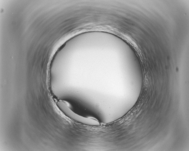 X0000086881528200705141357