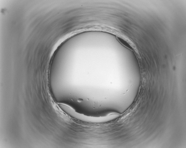 X0000086881530200705141357