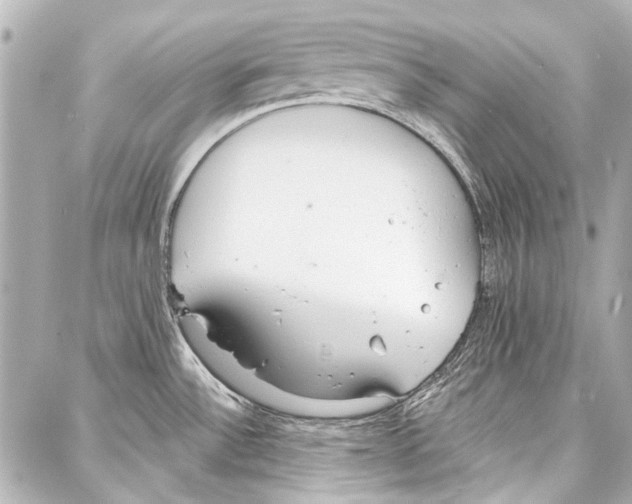 X0000086881532200705141358