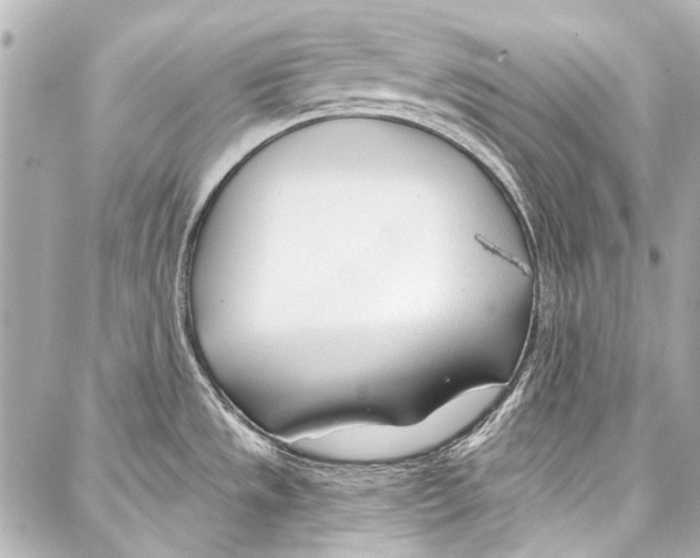 X0000086881533200705141358