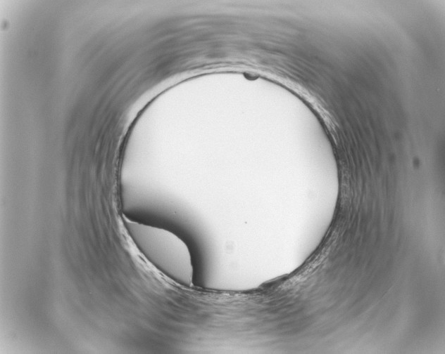 X0000086881534200705141358