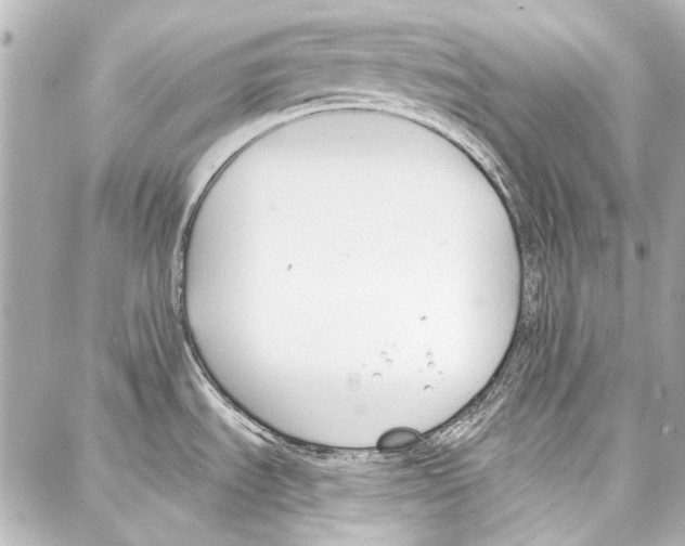 X0000086881535200705141358