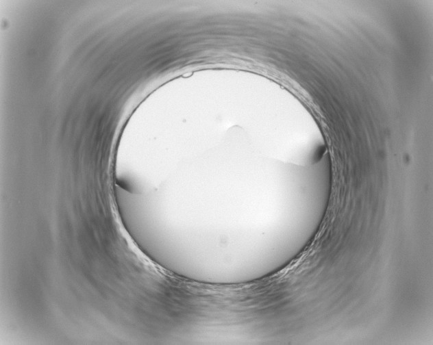 X0000086881536200705141358